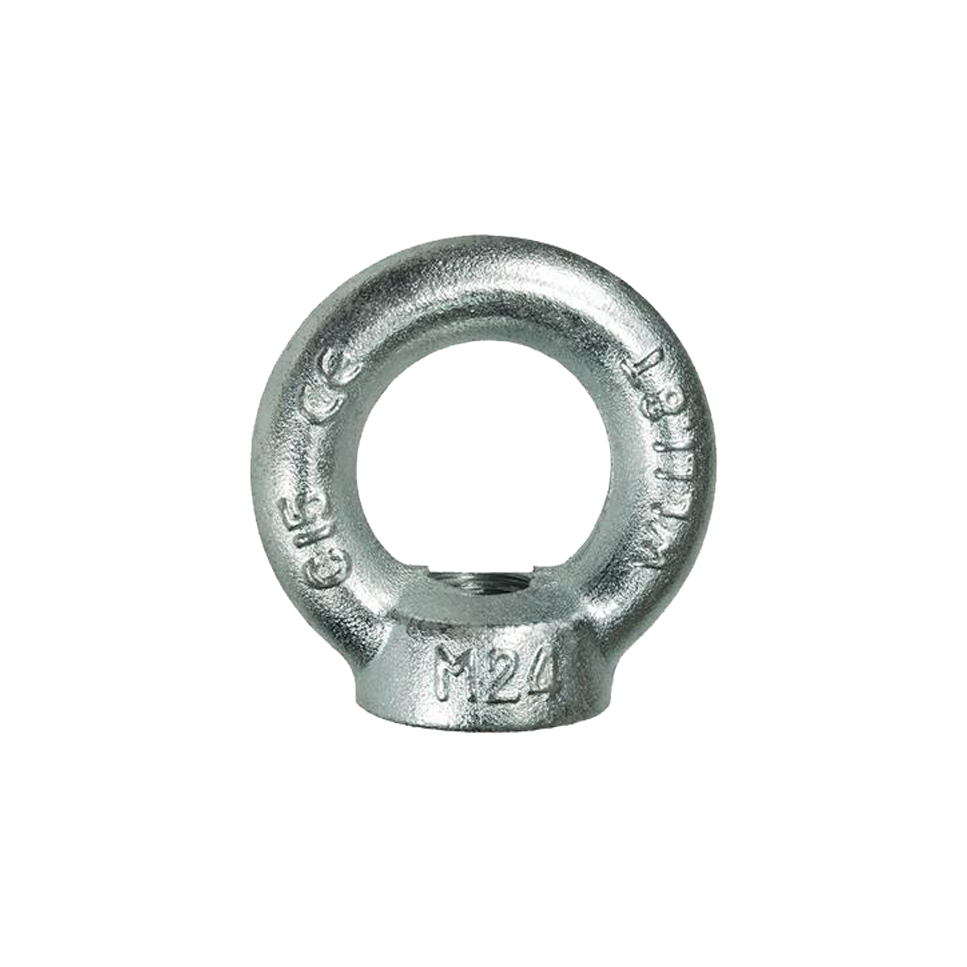Eye Nut DIN582 Zinc